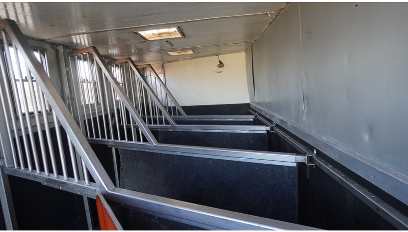 MAN TGL 8.180 HORSE TRANPORT 515.000KM - משאית סוסים: תמונה 5 MAN TGL 8.180 HORSE TRANPORT 515.000KM - משאית סוסים: תמונה 5
