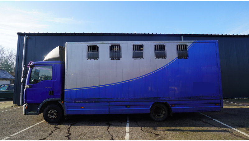 MAN TGL 8.180 HORSE TRANPORT 515.000KM - משאית סוסים: תמונה 1 MAN TGL 8.180 HORSE TRANPORT 515.000KM - משאית סוסים: תמונה 1