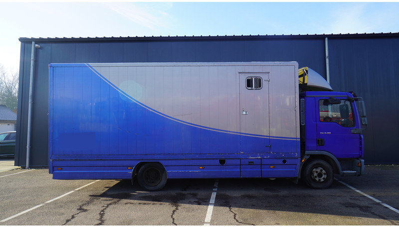 MAN TGL 8.180 HORSE TRANPORT 515.000KM - משאית סוסים: תמונה 2 MAN TGL 8.180 HORSE TRANPORT 515.000KM - משאית סוסים: תמונה 2
