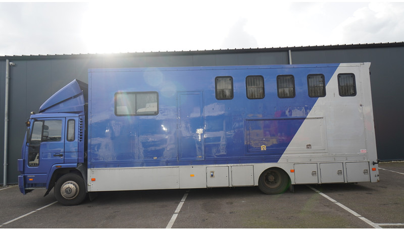 Volvo FL 6-9 HORSE TRANSPORT 341.000KM MANUAL GEARBOX - משאית סוסים: תמונה 1 Volvo FL 6-9 HORSE TRANSPORT 341.000KM MANUAL GEARBOX - משאית סוסים: תמונה 1
