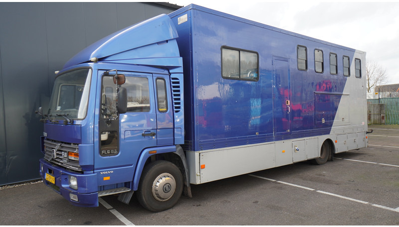 Volvo FL 6-9 HORSE TRANSPORT 341.000KM MANUAL GEARBOX - משאית סוסים: תמונה 3 Volvo FL 6-9 HORSE TRANSPORT 341.000KM MANUAL GEARBOX - משאית סוסים: תמונה 3