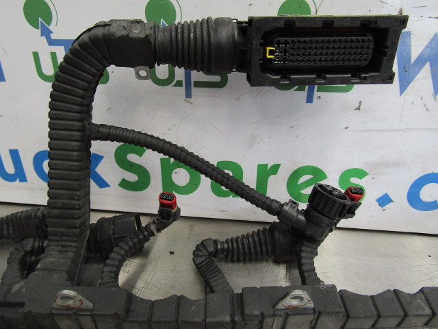 DAF XF 105 PACCAR INJECTOR/ECU HARNESS P/NO 1696501/00 - מערכת חשמל עבור משאית: תמונה 2 DAF XF 105 PACCAR INJECTOR/ECU HARNESS P/NO 1696501/00 - מערכת חשמל עבור משאית: תמונה 2