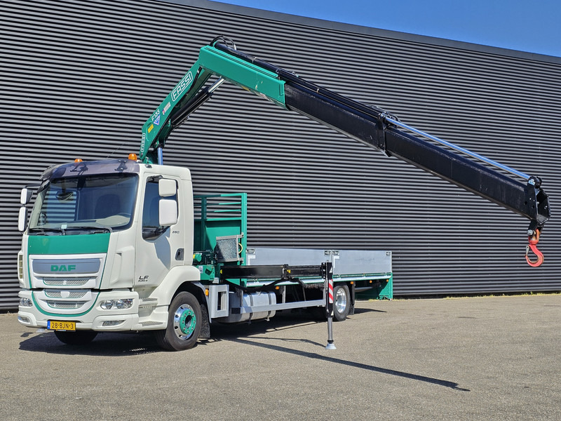 DAF LF 260 EURO 6 / FASSI CRANE / KRAN + REMOTE - משאית מנוף: תמונה 2 DAF LF 260 EURO 6 / FASSI CRANE / KRAN + REMOTE - משאית מנוף: תמונה 2