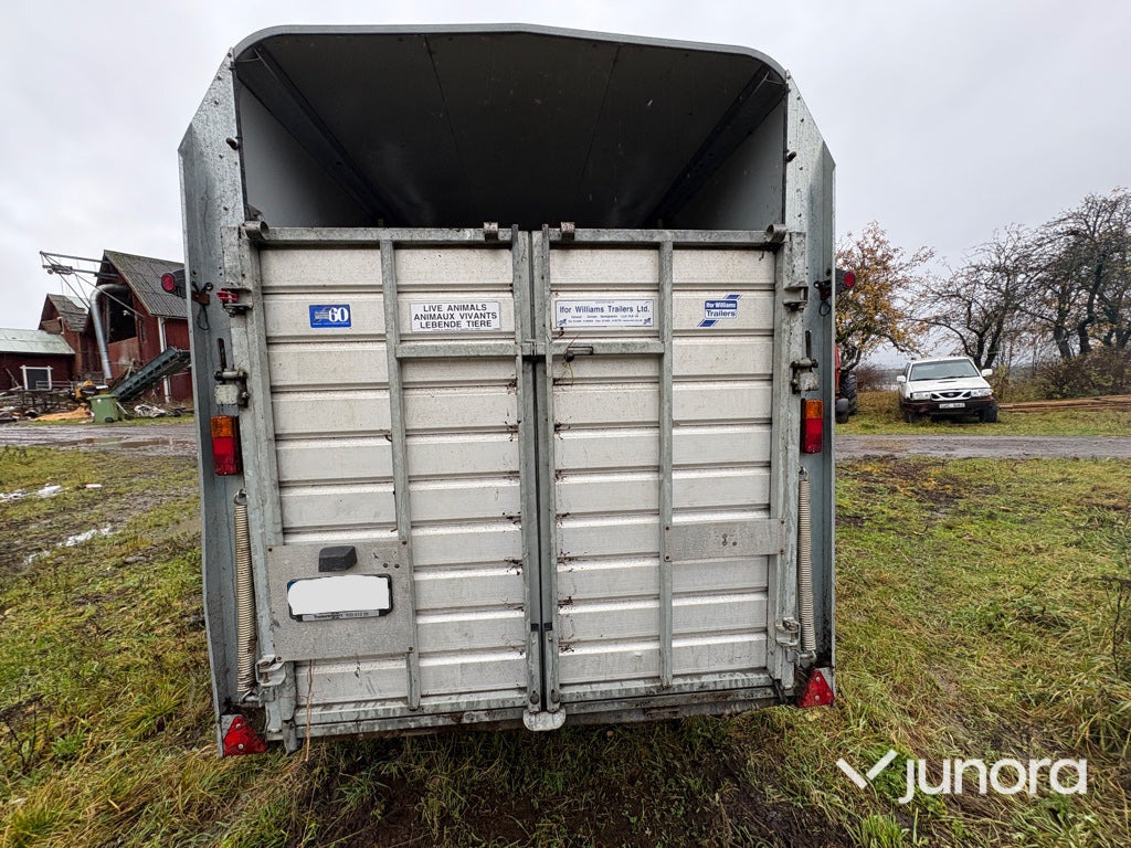 Boskapssläp - Ifor Williams - קרון נגרר להובלת בעלי חיים: תמונה 5 Boskapssläp - Ifor Williams - קרון נגרר להובלת בעלי חיים: תמונה 5