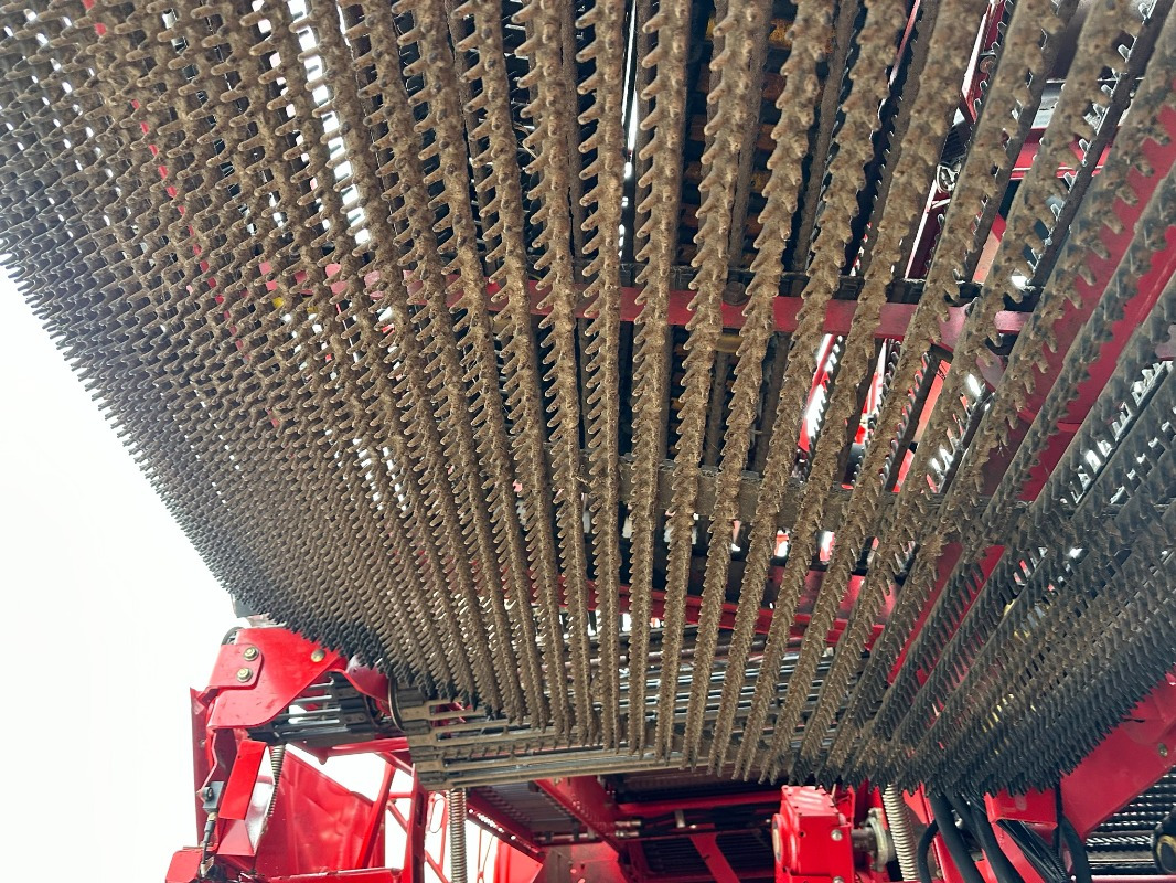 מקצרה Grimme EVO 290 ClodSep: תמונה 12