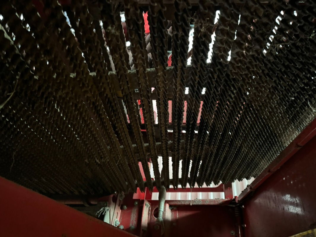 Grimme SE-150-60-UB XXL - מקצרת תפוחי אדמה: תמונה 4 Grimme SE-150-60-UB XXL - מקצרת תפוחי אדמה: תמונה 4