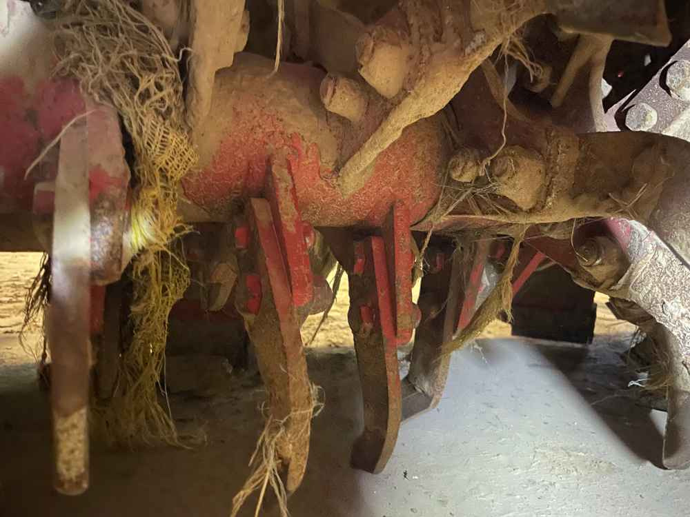 Grimme RT 300 - מקצרה: תמונה 3 Grimme RT 300 - מקצרה: תמונה 3