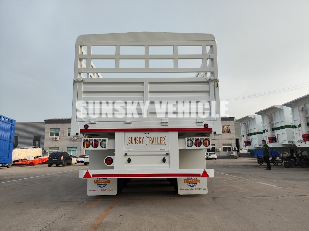 SUNSKY - סמיטריילר צד נופל/ שטוח: תמונה 2 SUNSKY - סמיטריילר צד נופל/ שטוח: תמונה 2