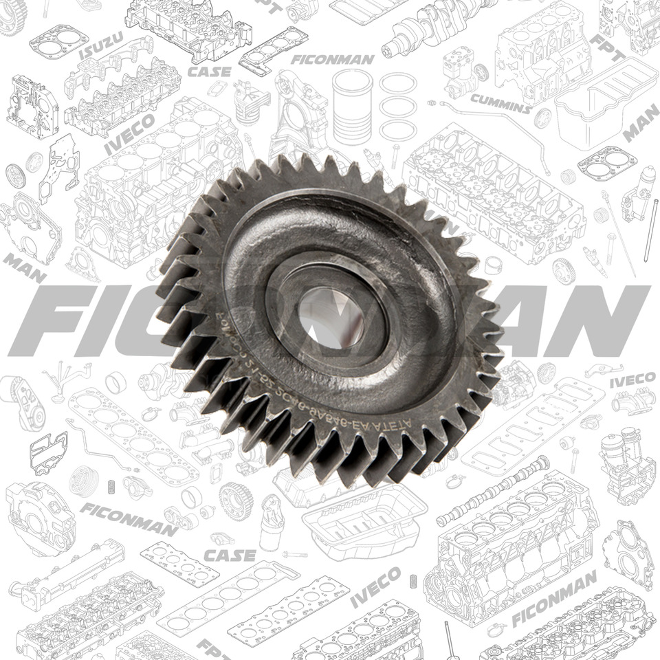 Ford Ford Trucks F-MAX ECOTORQ 9L GEAR - FU/INJ PMP DRV 2C46-9A546-EA T174525 2C469A546EA - משאבת שמן עבור משאית: תמונה 1 Ford Ford Trucks F-MAX ECOTORQ 9L GEAR - FU/INJ PMP DRV 2C46-9A546-EA T174525 2C469A546EA - משאבת שמן עבור משאית: תמונה 1