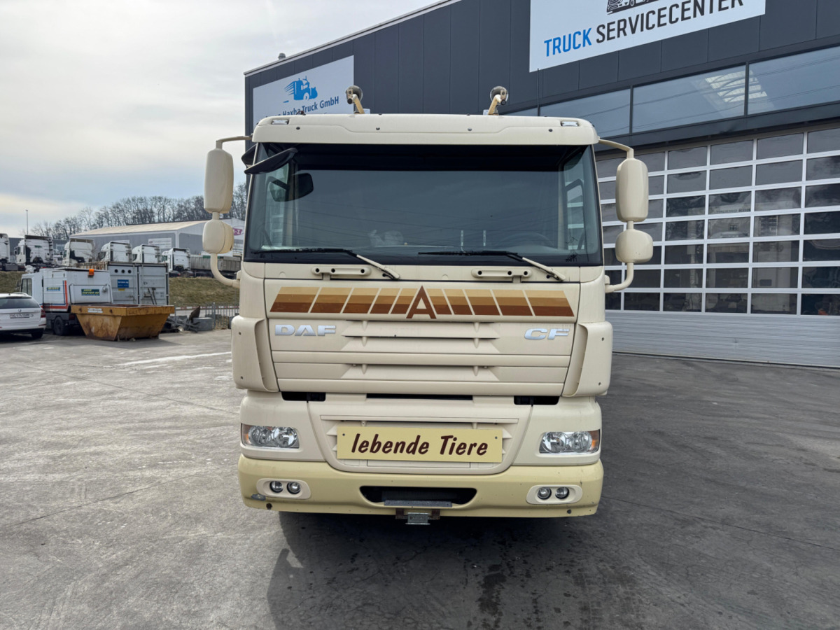 DAF CF410 4x2 - משאית להובלת בעלי חיים: תמונה 2 DAF CF410 4x2 - משאית להובלת בעלי חיים: תמונה 2