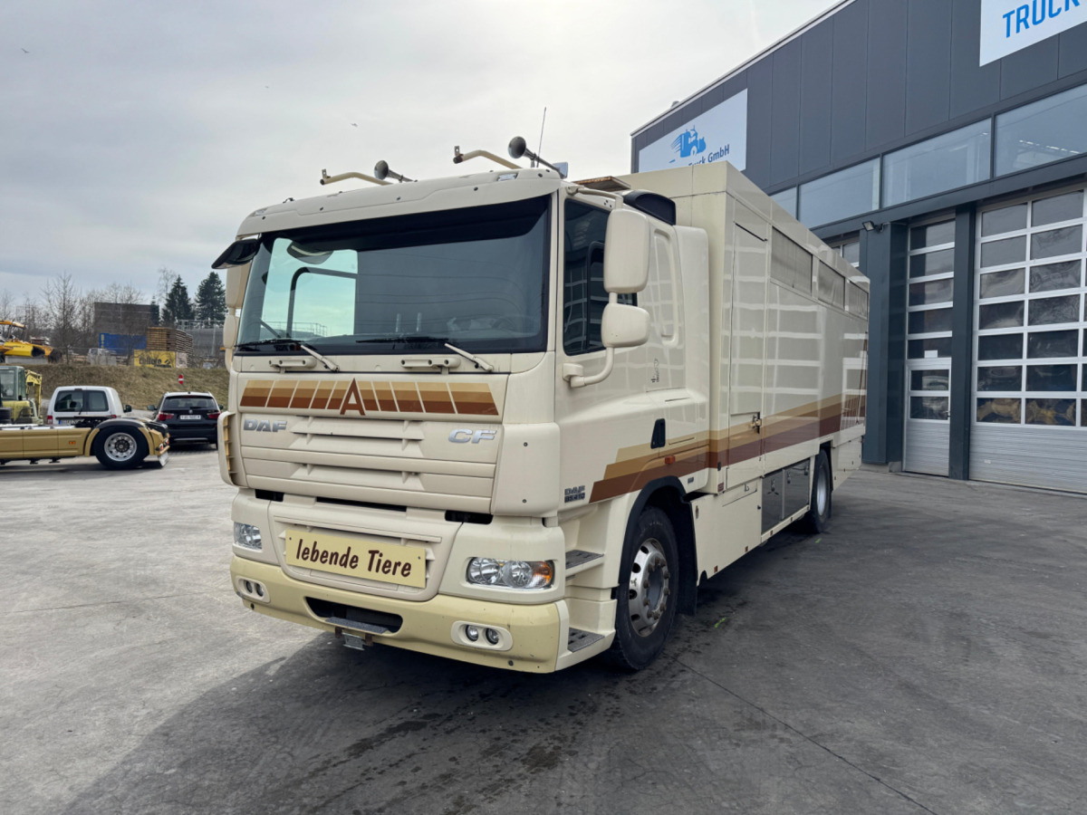 DAF CF410 4x2 - משאית להובלת בעלי חיים: תמונה 1 DAF CF410 4x2 - משאית להובלת בעלי חיים: תמונה 1