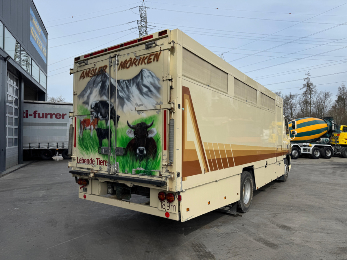 DAF CF410 4x2 - משאית להובלת בעלי חיים: תמונה 5 DAF CF410 4x2 - משאית להובלת בעלי חיים: תמונה 5