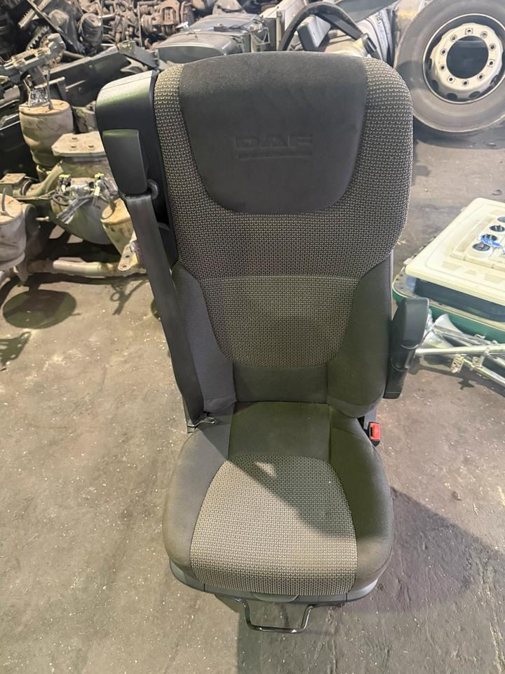 DAF XF 460 Euro6 Beifahrersitz - מושב עבור משאית: תמונה 1 DAF XF 460 Euro6 Beifahrersitz - מושב עבור משאית: תמונה 1