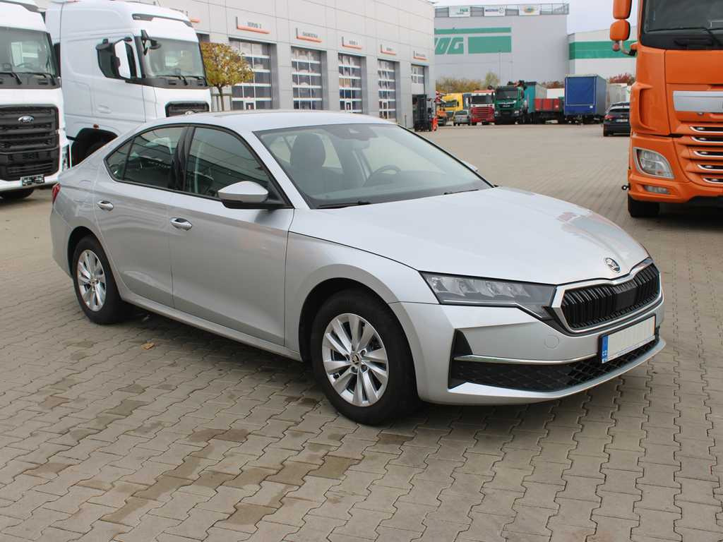 Skoda 2,0TDI 85KW SELECTION - מכונית: תמונה 3 Skoda 2,0TDI 85KW SELECTION - מכונית: תמונה 3