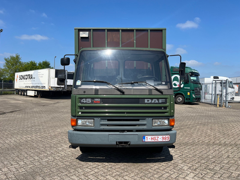 DAF 45.160 - משאית סוסים: תמונה 2 DAF 45.160 - משאית סוסים: תמונה 2