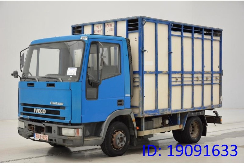 Iveco 65E14 - משאית להובלת בעלי חיים: תמונה 1 Iveco 65E14 - משאית להובלת בעלי חיים: תמונה 1