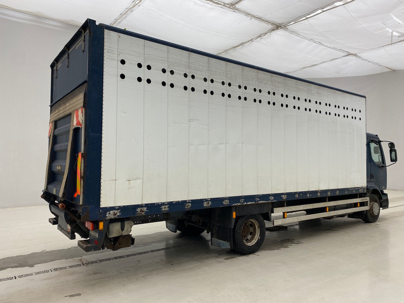 Renault Midlum 220 DCi* - משאית תיבה: תמונה 4 Renault Midlum 220 DCi* - משאית תיבה: תמונה 4