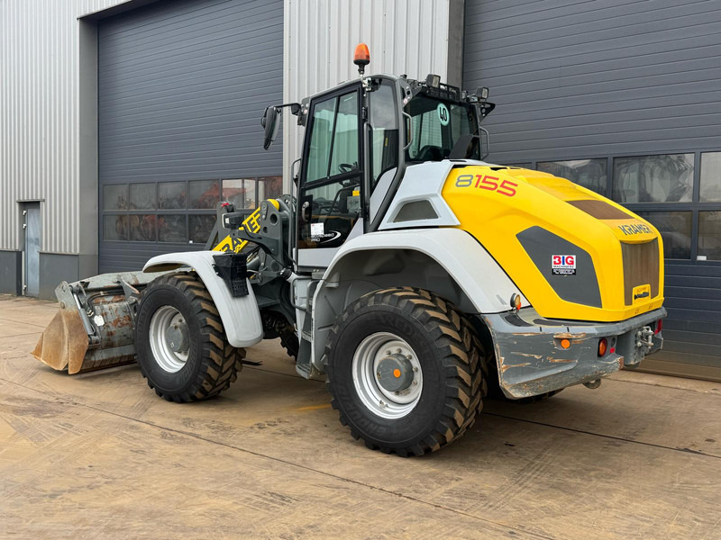 Kramer 8155 / Forks / bucket - מעמיס גלגלים: תמונה 2 Kramer 8155 / Forks / bucket - מעמיס גלגלים: תמונה 2