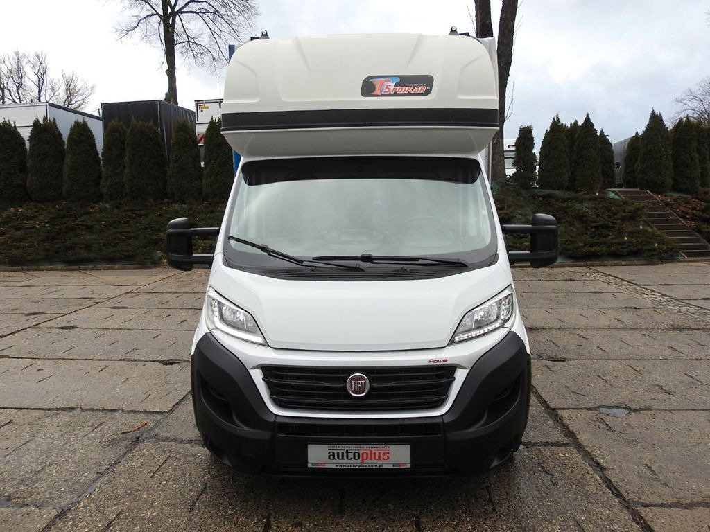 Fiat DUCAT0 PRITSCHE PLANE AUFZUG 9 PALETTEN A/C - כלי רכב מסחרי עם וילונות צד: תמונה 5 Fiat DUCAT0 PRITSCHE PLANE AUFZUG 9 PALETTEN A/C - כלי רכב מסחרי עם וילונות צד: תמונה 5