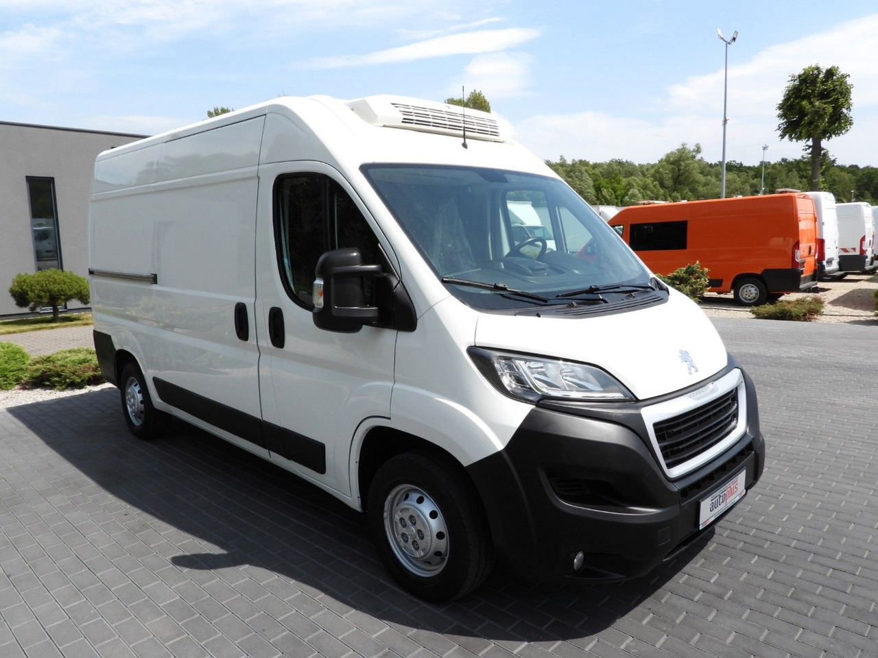 Peugeot BOXER KÜHLKASTENWAGEN -10*C TEMPOMAT - כלי רכב מסחרי לקירור: תמונה 4 Peugeot BOXER KÜHLKASTENWAGEN -10*C TEMPOMAT - כלי רכב מסחרי לקירור: תמונה 4