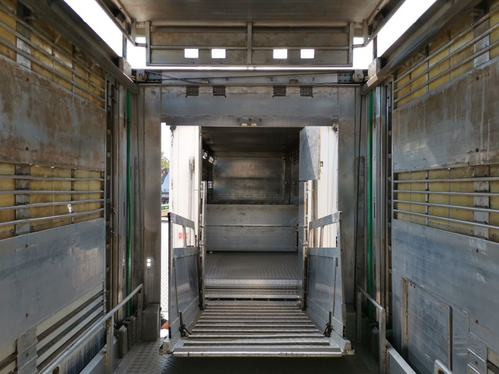 משאית להובלת בעלי חיים DAF XF 105.460  / Intarder / 4 Stock / KOMPLETT !: תמונה 9 משאית להובלת בעלי חיים DAF XF 105.460  / Intarder / 4 Stock / KOMPLETT !: תמונה 9