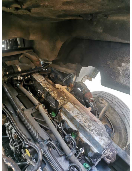 משאית להובלת בעלי חיים MAN LE 12.189 livestock truck: תמונה 17 משאית להובלת בעלי חיים MAN LE 12.189 livestock truck: תמונה 17