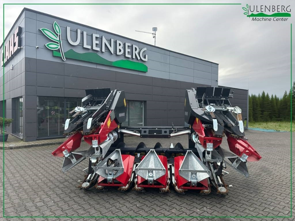 Dominoni SL976BG - ראש תירס: תמונה 1 Dominoni SL976BG - ראש תירס: תמונה 1