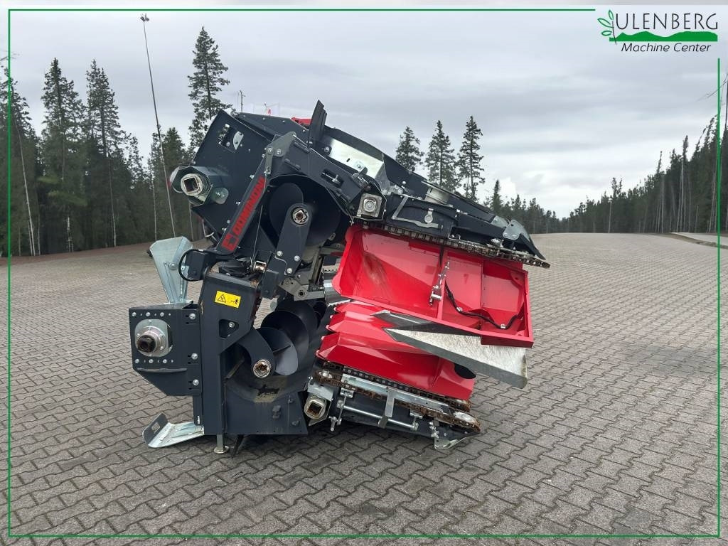 Dominoni SL976BG - ראש תירס: תמונה 4 Dominoni SL976BG - ראש תירס: תמונה 4