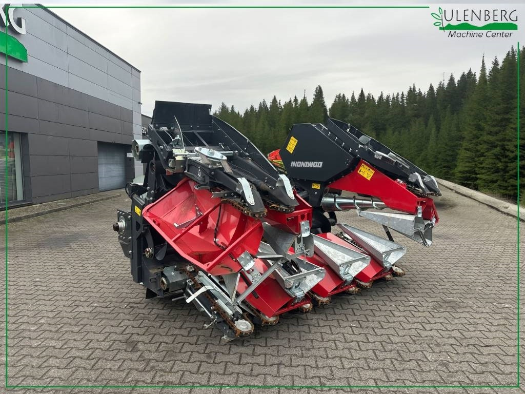 Dominoni SL976BG - ראש תירס: תמונה 3 Dominoni SL976BG - ראש תירס: תמונה 3