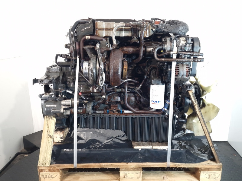 DAF PX-7 184 Engine (Truck) - מנוע עבור משאית: תמונה 4 DAF PX-7 184 Engine (Truck) - מנוע עבור משאית: תמונה 4