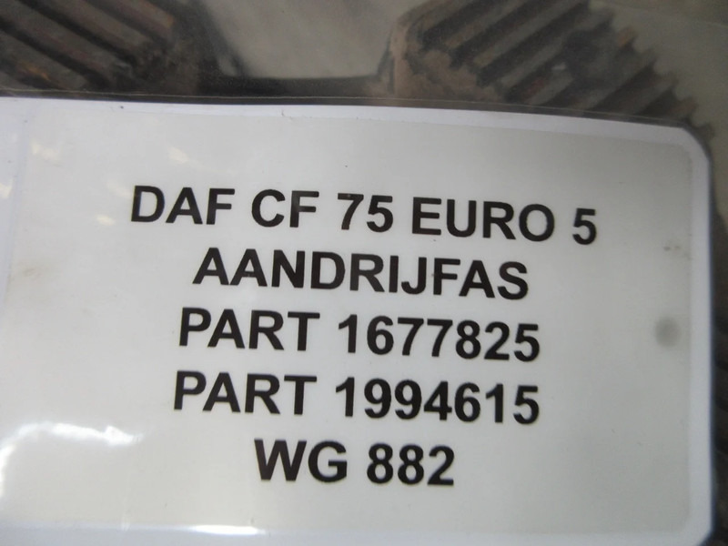 DAF 1677825 // 1994615 AANDRIJFAS DAF CF 75 EURO 5 - גל הנעה עבור משאית: תמונה 5 DAF 1677825 // 1994615 AANDRIJFAS DAF CF 75 EURO 5 - גל הנעה עבור משאית: תמונה 5