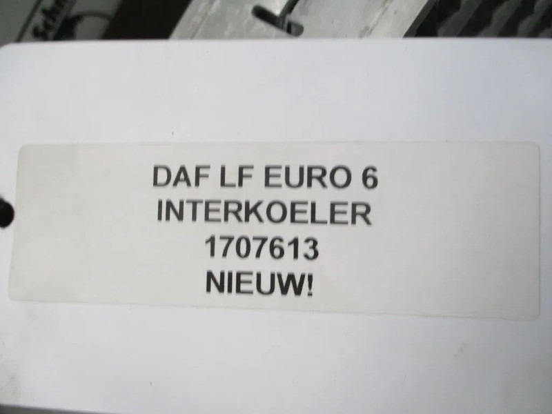 DAF 1707613 INTERKOELER DAF LF PX5 PX7 EURO 6 NIEUW! - מקרר פנימי עבור משאית: תמונה 2 DAF 1707613 INTERKOELER DAF LF PX5 PX7 EURO 6 NIEUW! - מקרר פנימי עבור משאית: תמונה 2