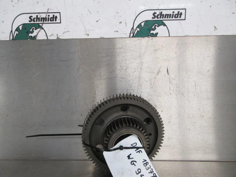 DAF 21067144 MOTOR TANDWIEL DAF XF CF 480 EURO 6 - מנוע וחלקים עבור משאית: תמונה 3 DAF 21067144 MOTOR TANDWIEL DAF XF CF 480 EURO 6 - מנוע וחלקים עבור משאית: תמונה 3