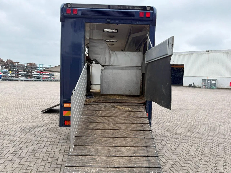 Mercedes-Benz Atego 1223 / ENGINE RUNNING / ONLY:159450 KM / HORSETRUCK / HEATED BOX / WATERTANK / LIVING ROOM / EURO-2 / MANUAL / 1998 - משאית סוסים: תמונה 5 Mercedes-Benz Atego 1223 / ENGINE RUNNING / ONLY:159450 KM / HORSETRUCK / HEATED BOX / WATERTANK / LIVING ROOM / EURO-2 / MANUAL / 1998 - משאית סוסים: תמונה 5