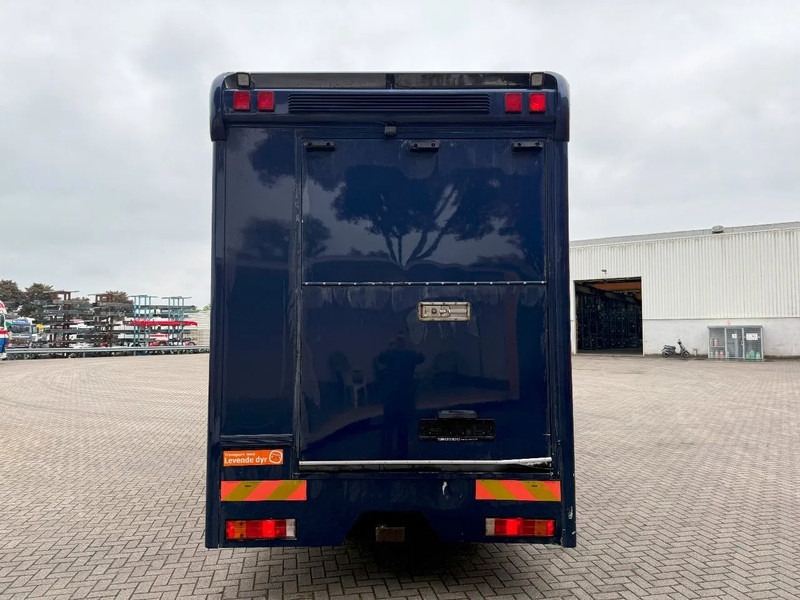 Mercedes-Benz Atego 1223 / ENGINE RUNNING / ONLY:159450 KM / HORSETRUCK / HEATED BOX / WATERTANK / LIVING ROOM / EURO-2 / MANUAL / 1998 - משאית סוסים: תמונה 4 Mercedes-Benz Atego 1223 / ENGINE RUNNING / ONLY:159450 KM / HORSETRUCK / HEATED BOX / WATERTANK / LIVING ROOM / EURO-2 / MANUAL / 1998 - משאית סוסים: תמונה 4