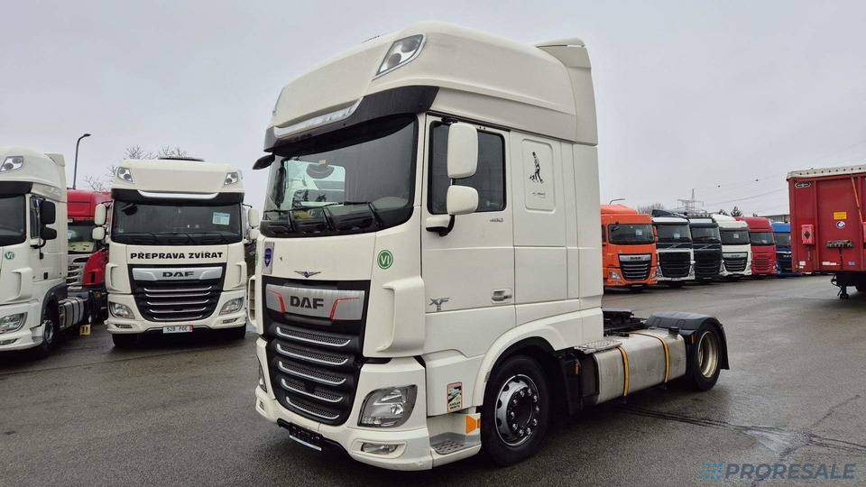 DAF XF 480 FT LOW DECK SSC EURO 6 - יחידת טרקטור: תמונה 2 DAF XF 480 FT LOW DECK SSC EURO 6 - יחידת טרקטור: תמונה 2