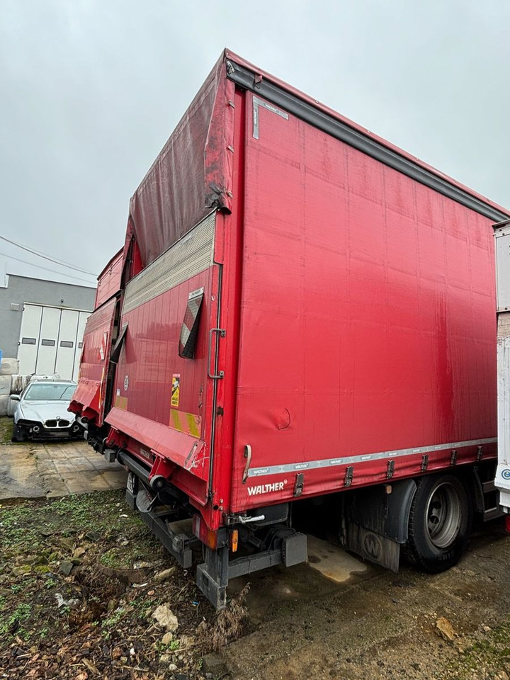 MAN TGM18.340 EURO 6 UNANGETRIEBEN - משאית וילונות צד: תמונה 5 MAN TGM18.340 EURO 6 UNANGETRIEBEN - משאית וילונות צד: תמונה 5