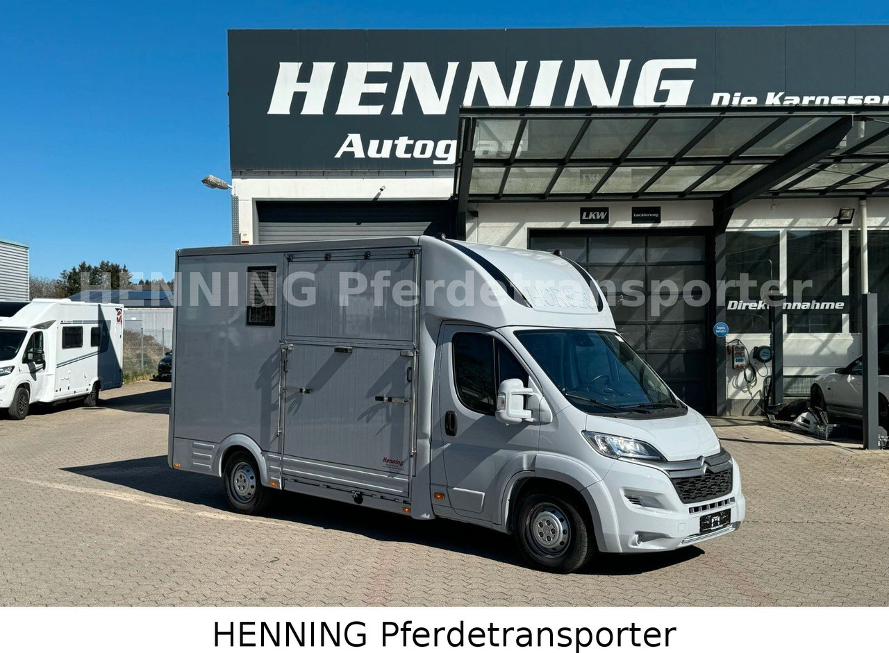 Citroën Jumper 3 - Sitzer *AUFBAU NEU* - משאית סוסים: תמונה 1 Citroën Jumper 3 - Sitzer *AUFBAU NEU* - משאית סוסים: תמונה 1