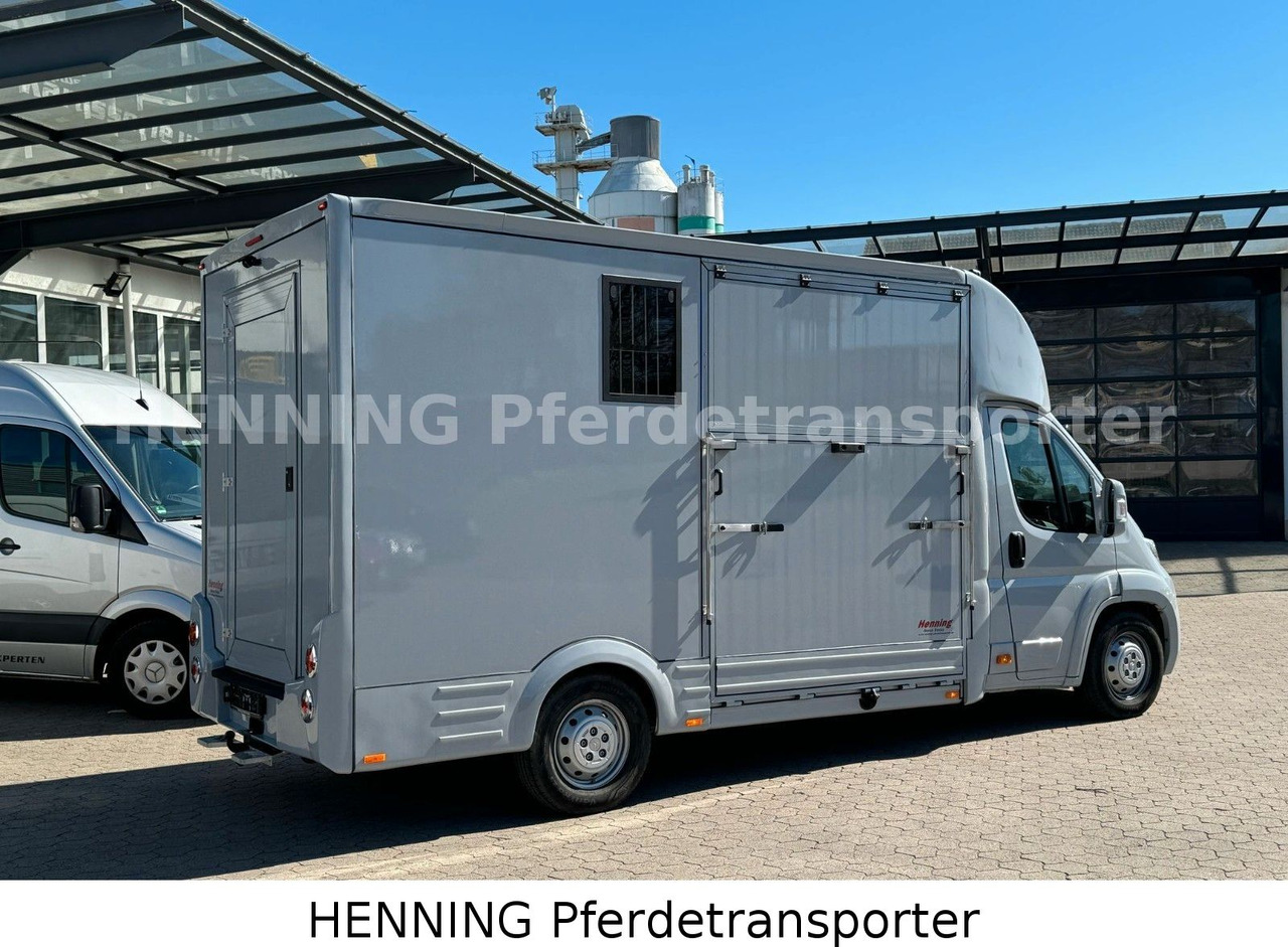Citroën Jumper 3 - Sitzer *AUFBAU NEU* - משאית סוסים: תמונה 3 Citroën Jumper 3 - Sitzer *AUFBAU NEU* - משאית סוסים: תמונה 3