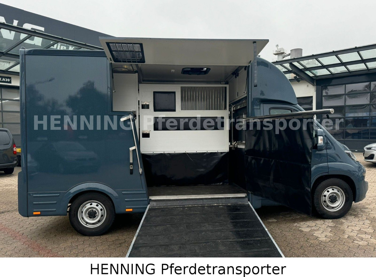 Fiat Ducato *AUTOMATIK* 3 - Sitzer - משאית להובלת בעלי חיים: תמונה 4 Fiat Ducato *AUTOMATIK* 3 - Sitzer - משאית להובלת בעלי חיים: תמונה 4