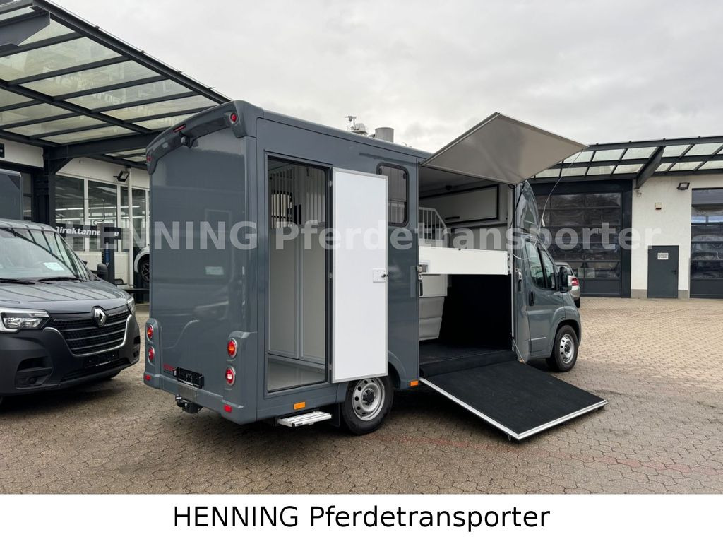 Fiat Ducato *NEUWAGEN* ca.1100 kg Nutzlast - משאית סוסים: תמונה 3 Fiat Ducato *NEUWAGEN* ca.1100 kg Nutzlast - משאית סוסים: תמונה 3