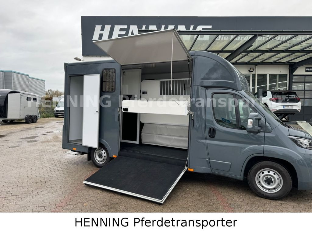 Fiat Ducato *NEUWAGEN* ca.1100 kg Nutzlast - משאית סוסים: תמונה 4 Fiat Ducato *NEUWAGEN* ca.1100 kg Nutzlast - משאית סוסים: תמונה 4