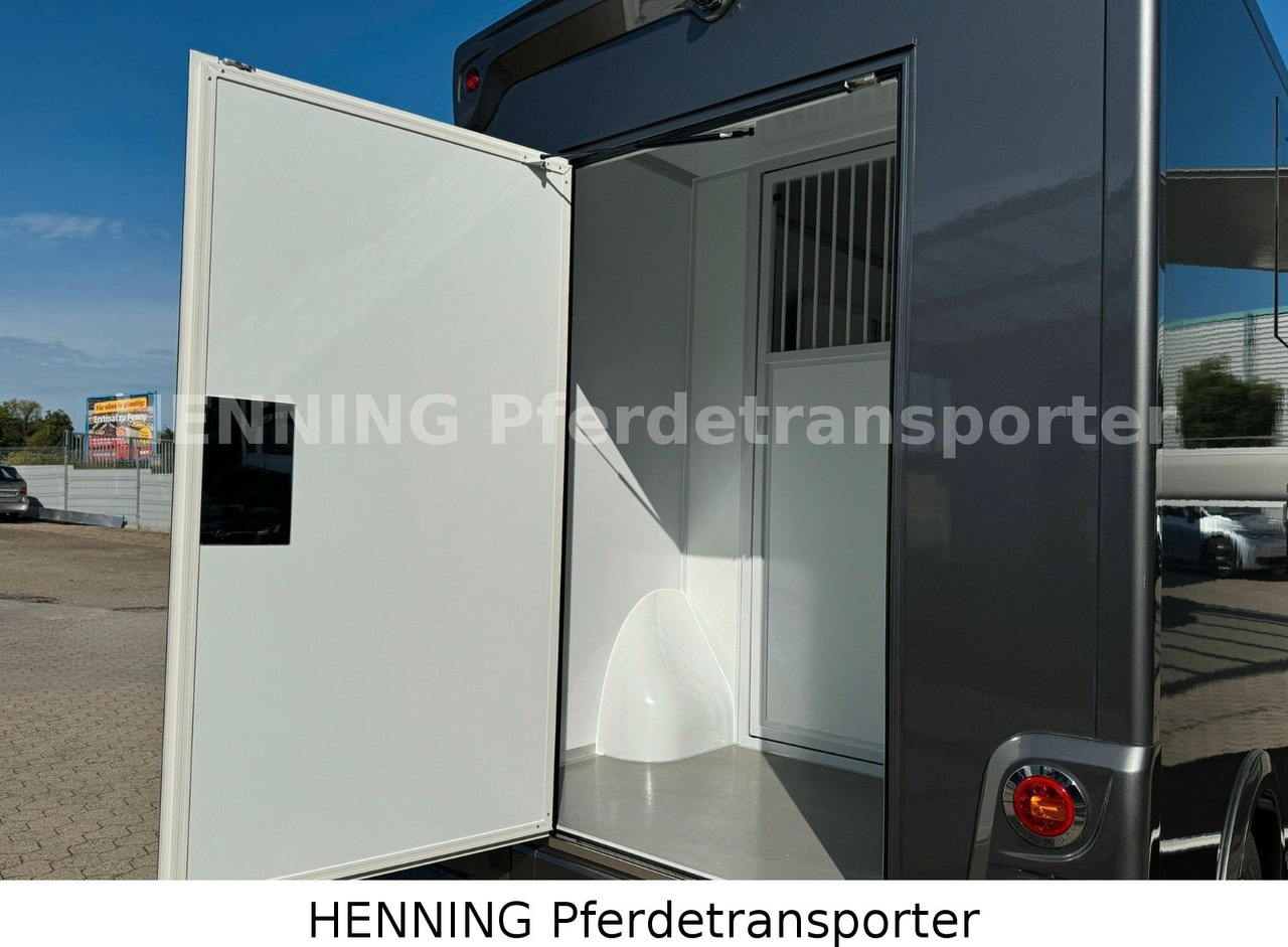 משאית להובלת בעלי חיים MAN TGE 3 - Sitzer *KLIMA PFERDEABTEIL*: תמונה 10 משאית להובלת בעלי חיים MAN TGE 3 - Sitzer *KLIMA PFERDEABTEIL*: תמונה 10