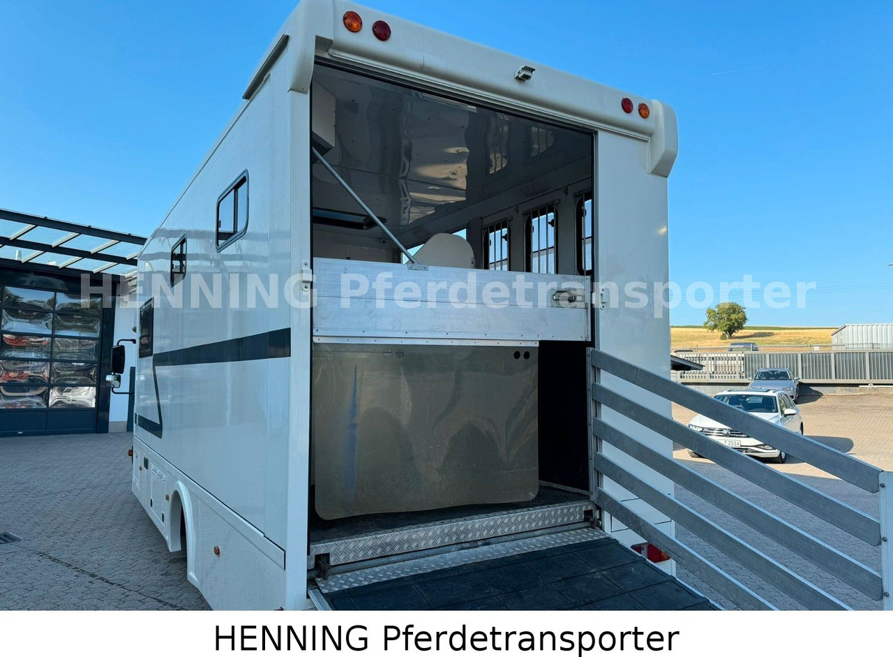MAN TGL 8.180 4x2 - משאית להובלת בעלי חיים: תמונה 5 MAN TGL 8.180 4x2 - משאית להובלת בעלי חיים: תמונה 5