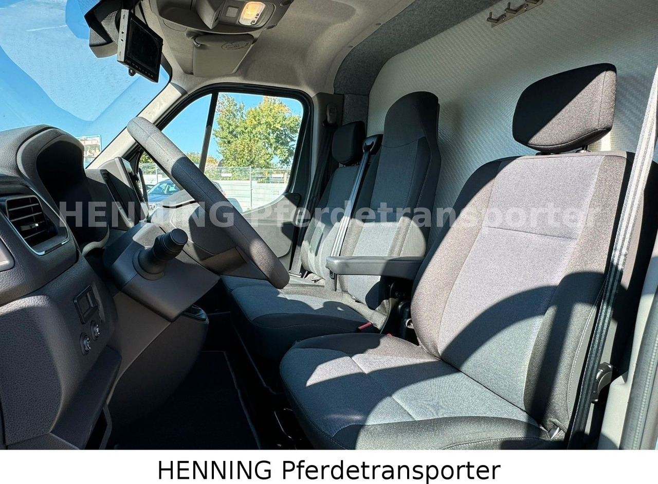 Nissan Interstar 3 - Sitzer - משאית להובלת בעלי חיים: תמונה 5 Nissan Interstar 3 - Sitzer - משאית להובלת בעלי חיים: תמונה 5