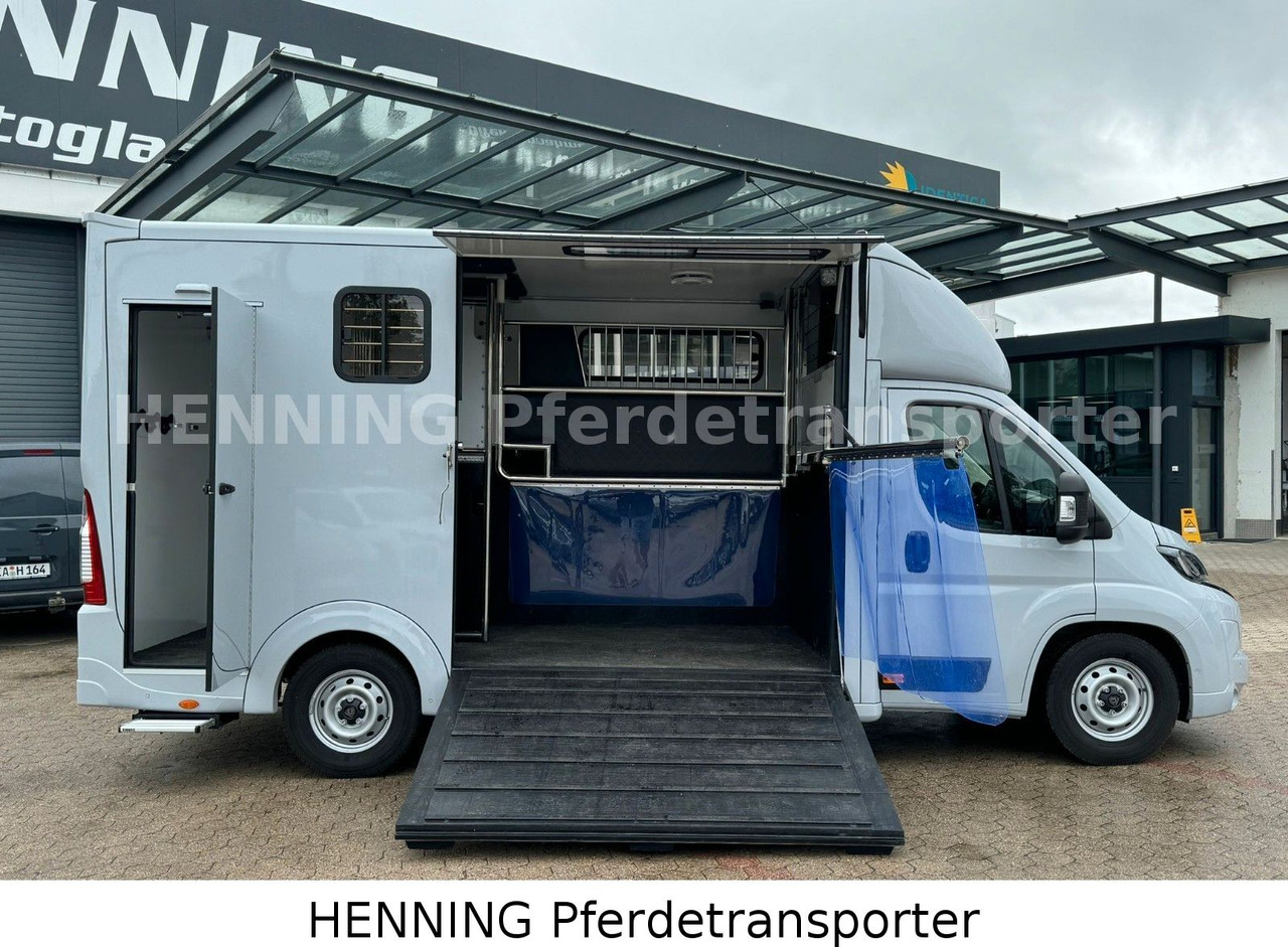 Peugeot Boxer 3 - Sitzer *GROSSE SATTELKAMMER* - משאית להובלת בעלי חיים: תמונה 5 Peugeot Boxer 3 - Sitzer *GROSSE SATTELKAMMER* - משאית להובלת בעלי חיים: תמונה 5