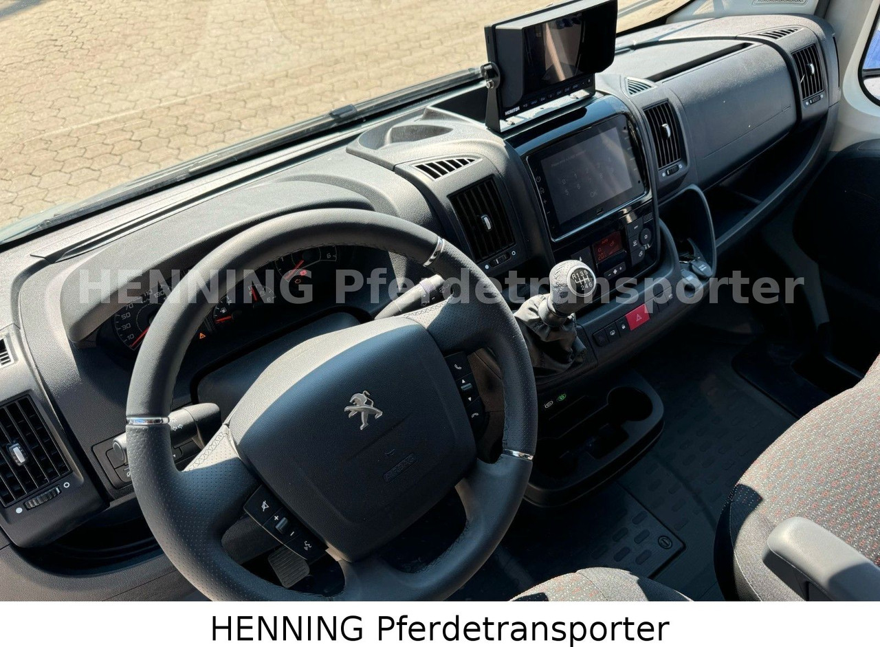 משאית סוסים Peugeot Boxer 3-Sitzer *NEUWAGEN* 1000 KG NUTZLAST: תמונה 15 משאית סוסים Peugeot Boxer 3-Sitzer *NEUWAGEN* 1000 KG NUTZLAST: תמונה 15