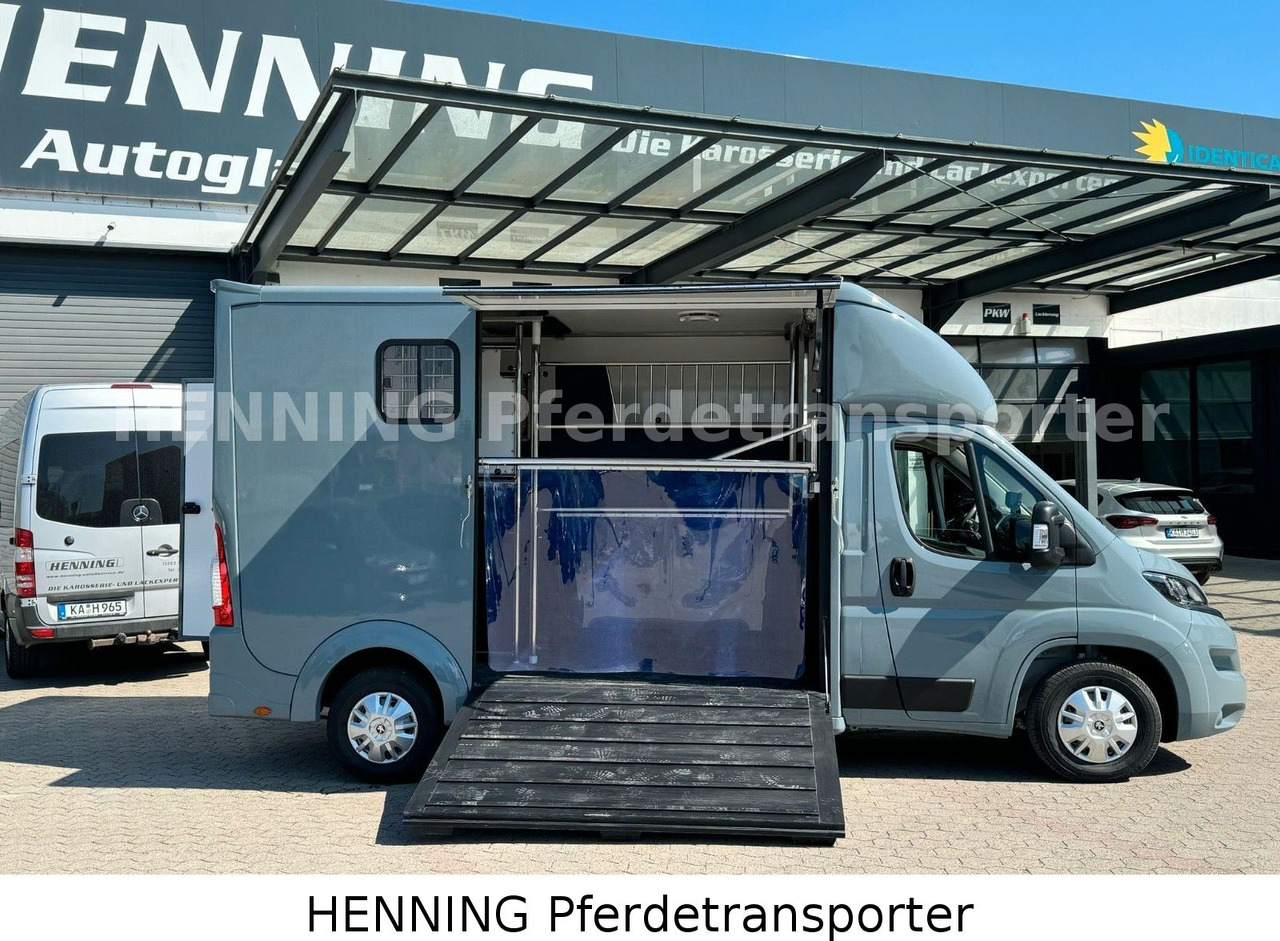 Peugeot Boxer 3-Sitzer *NEUWAGEN* 1000 KG NUTZLAST - משאית סוסים: תמונה 4 Peugeot Boxer 3-Sitzer *NEUWAGEN* 1000 KG NUTZLAST - משאית סוסים: תמונה 4