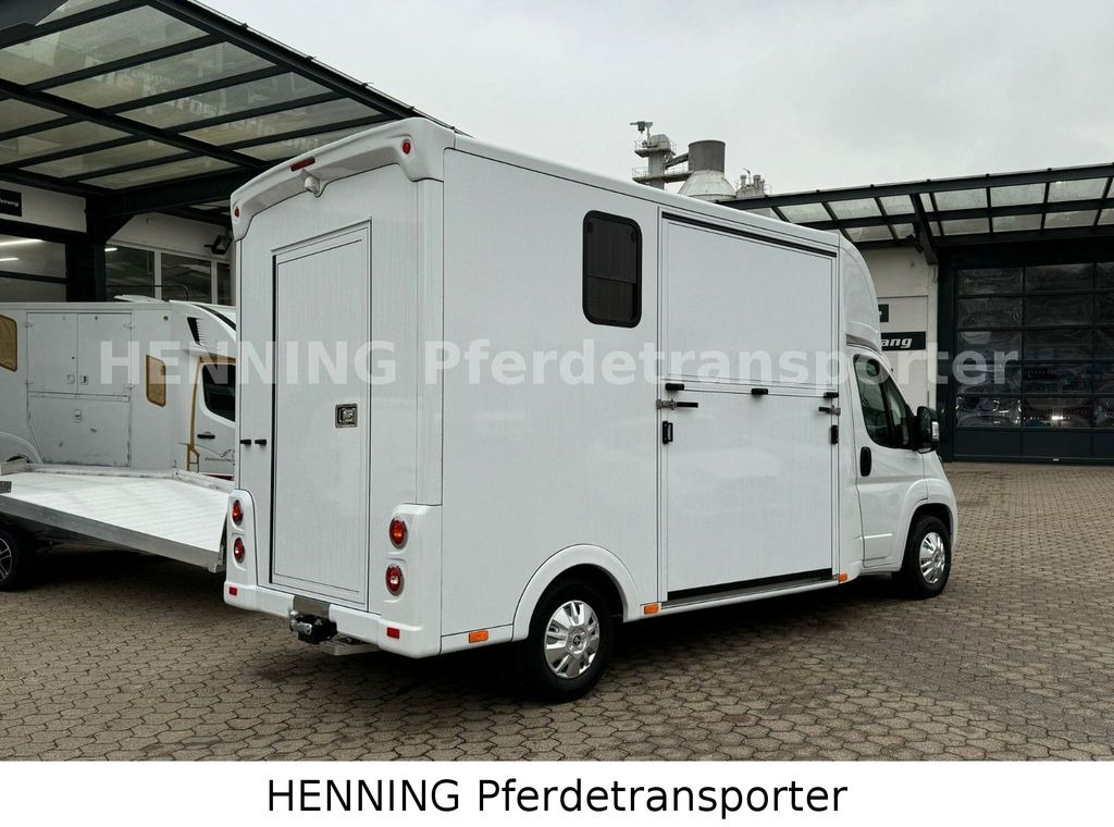 Peugeot Boxer *NEUWAGEN* ca. 1.200kg Nutzlast - משאית סוסים: תמונה 3 Peugeot Boxer *NEUWAGEN* ca. 1.200kg Nutzlast - משאית סוסים: תמונה 3