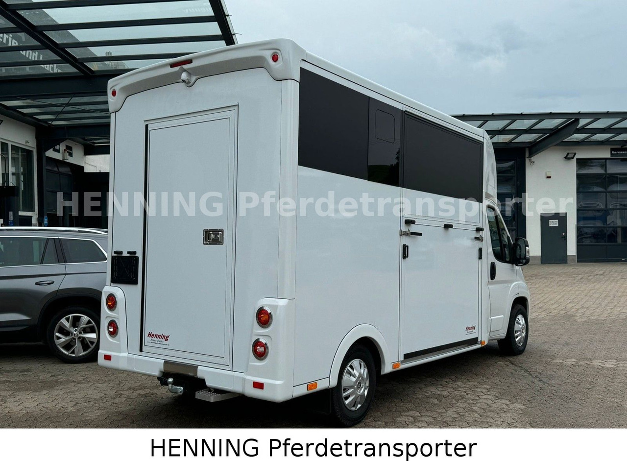 Peugeot Boxer *NEUWAGEN* ca. 1.200kg Nutzlast - משאית להובלת בעלי חיים: תמונה 3 Peugeot Boxer *NEUWAGEN* ca. 1.200kg Nutzlast - משאית להובלת בעלי חיים: תמונה 3